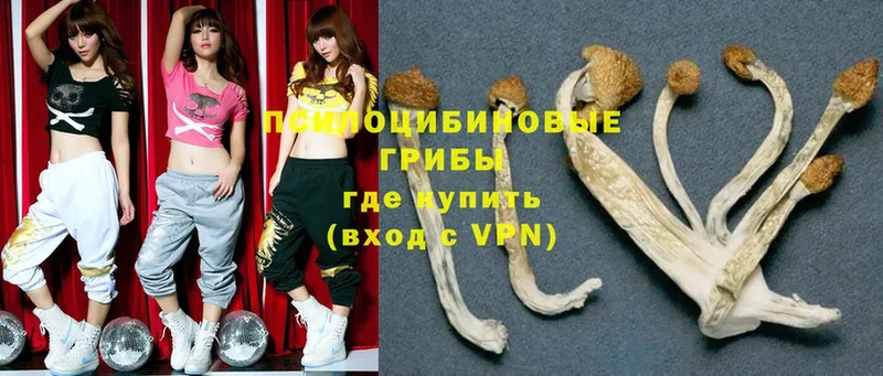 Псилоцибиновые грибы Magic Shrooms  Разумное 